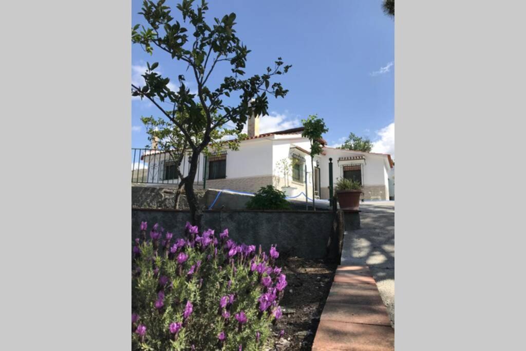 Casa Dimas Cómpeta Exterior foto